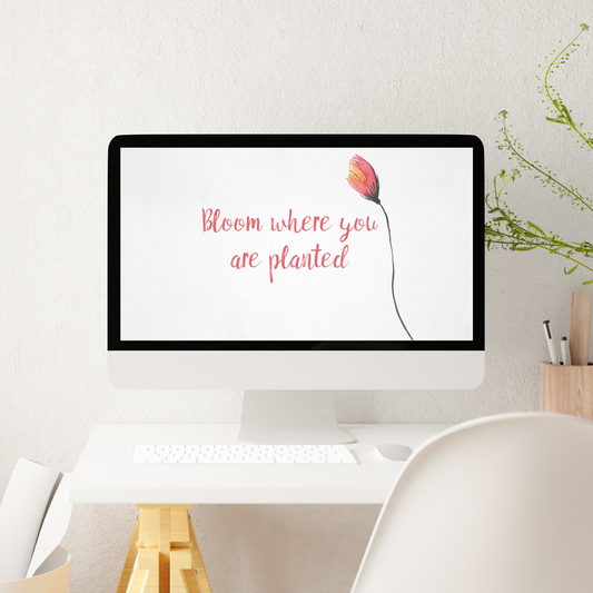 Bloom Where You Are Planted Desktop Background